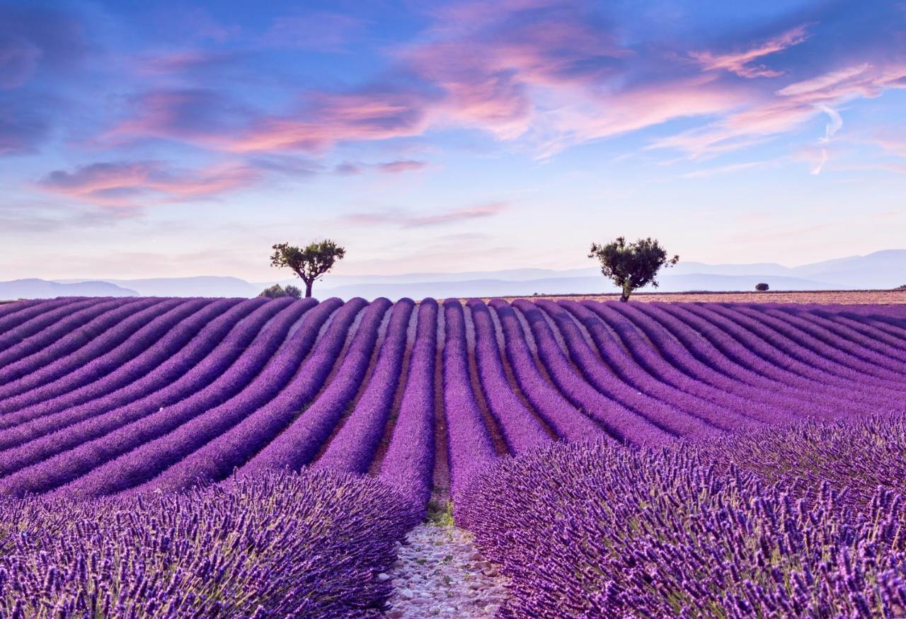 La Maison Des Collines Allemagne-en-Provence Exterior foto