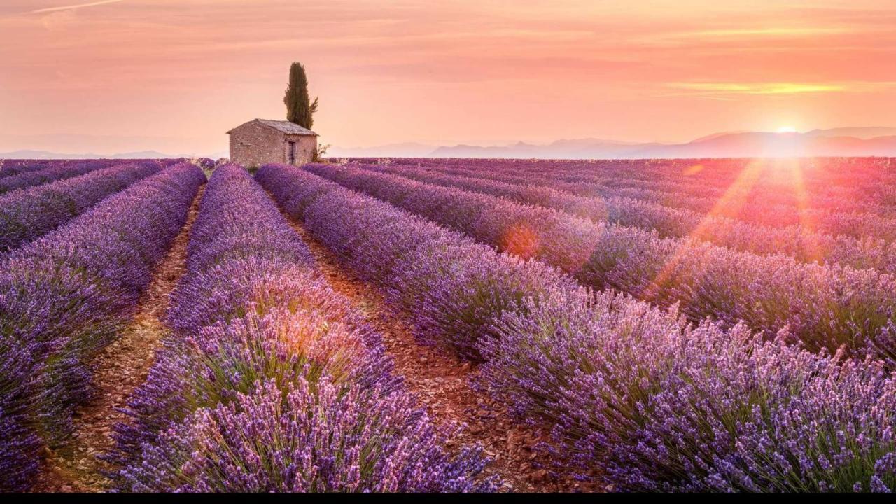 La Maison Des Collines Allemagne-en-Provence Exterior foto